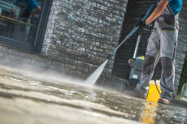 Best Animal Enclosure Cleaning  in Oro Valley, AZ